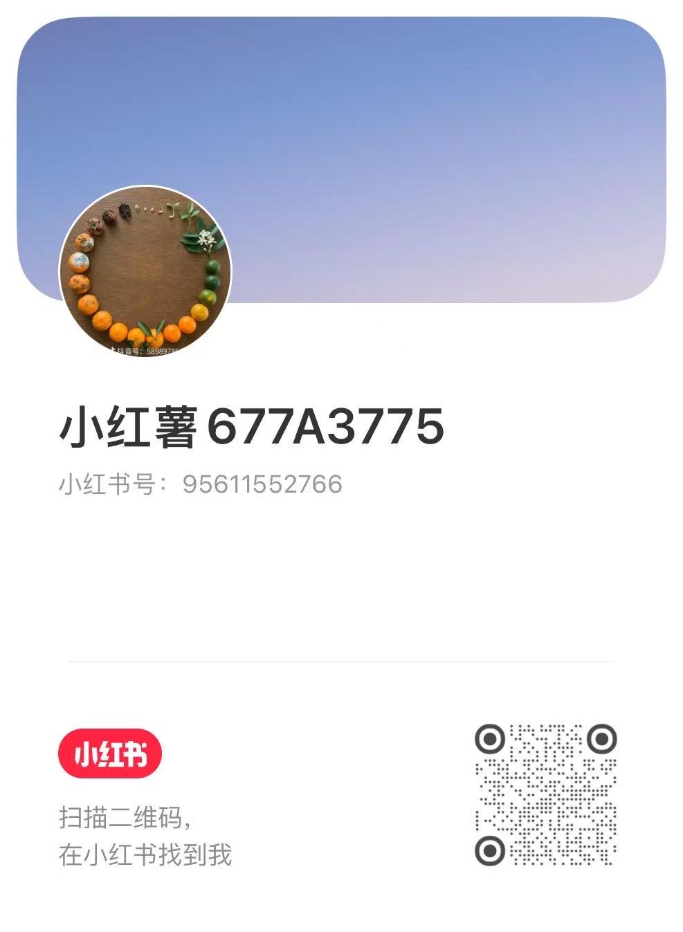小红书二维码